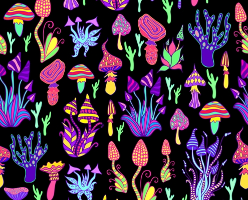 Are Magic Mushrooms and Sclerotia Truffles Legal in Florida? - Mr Psychedelic Law